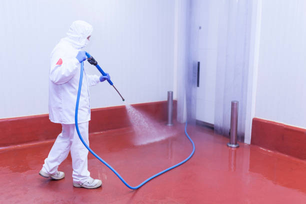Best Dumpster Area Cleaning  in Smyrna, DE