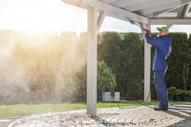 Best Solar Panel Cleaning  in Smyrna, DE