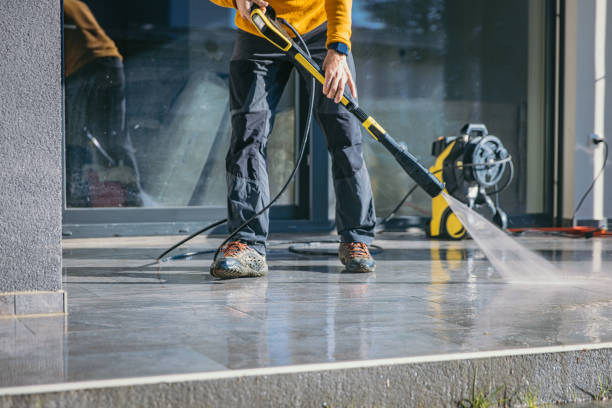 Best Driveway Pressure Washing  in Smyrna, DE